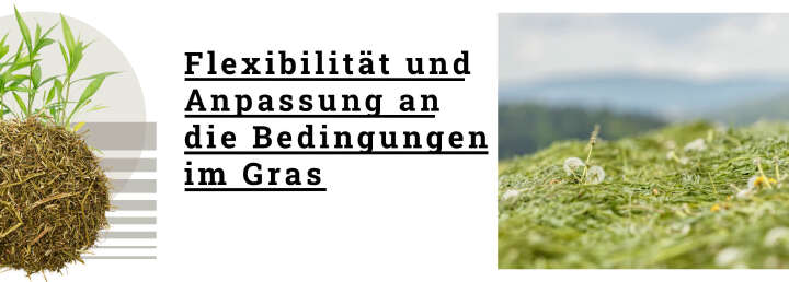 banner blattin siliermittel bedingungen im gras banner blattin siliermittel bedingungen im gras